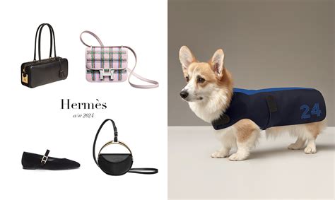 hermes 雨衣|馬鐙提包、珠寶箱，還有毛孩雨衣？10 件 Hermès 2024 秋冬最值 .